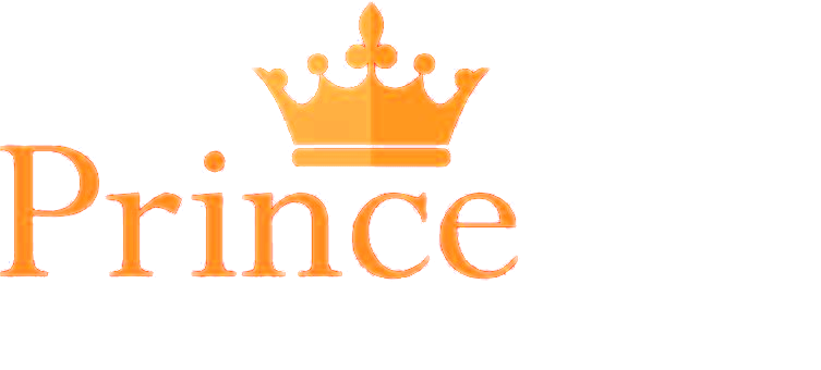 Princeton — professional auto detailing
