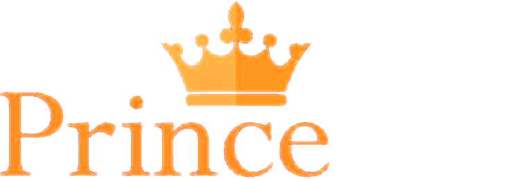 Princeton — professional auto detailing